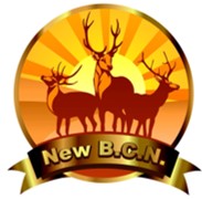 New BCN