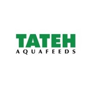 Tateh
